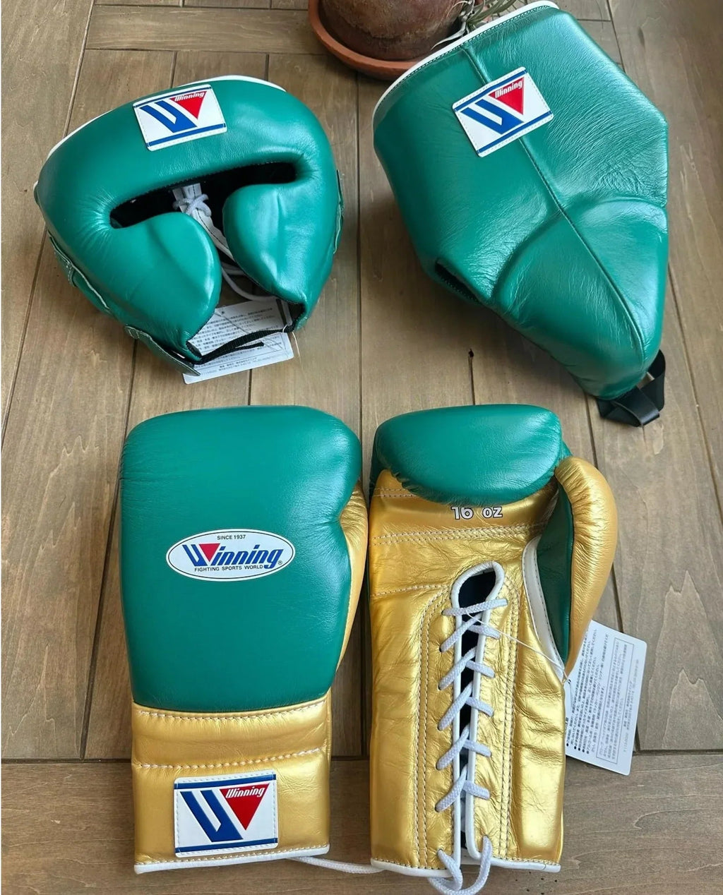 Winning Boxing Set Green/Gold Training Kit